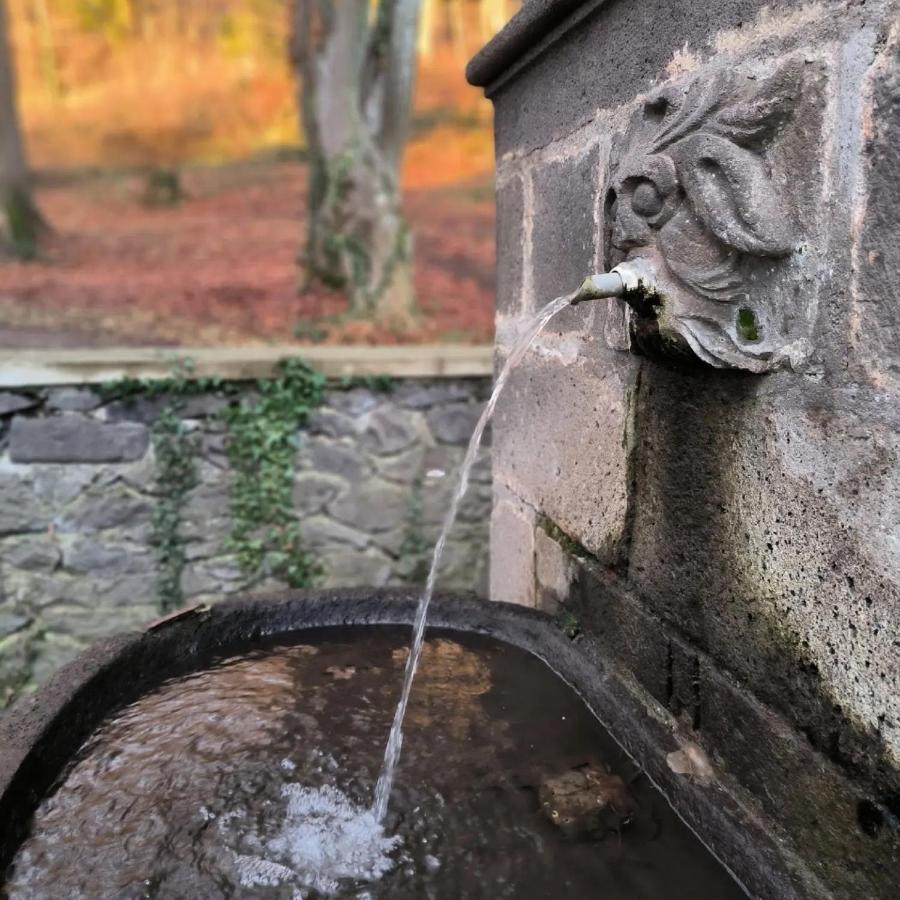 Gites Le Vieux Vinzelles Volvic Kültér fotó
