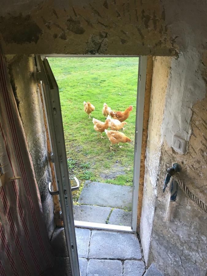 Gites Le Vieux Vinzelles Volvic Kültér fotó
